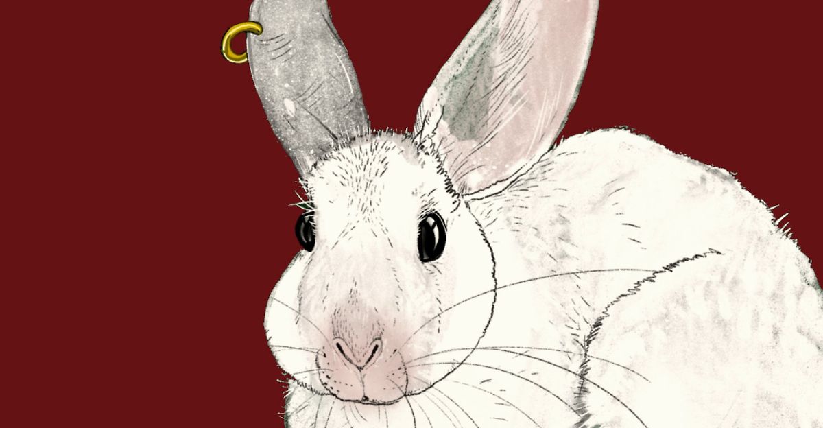 История рождественских открыток