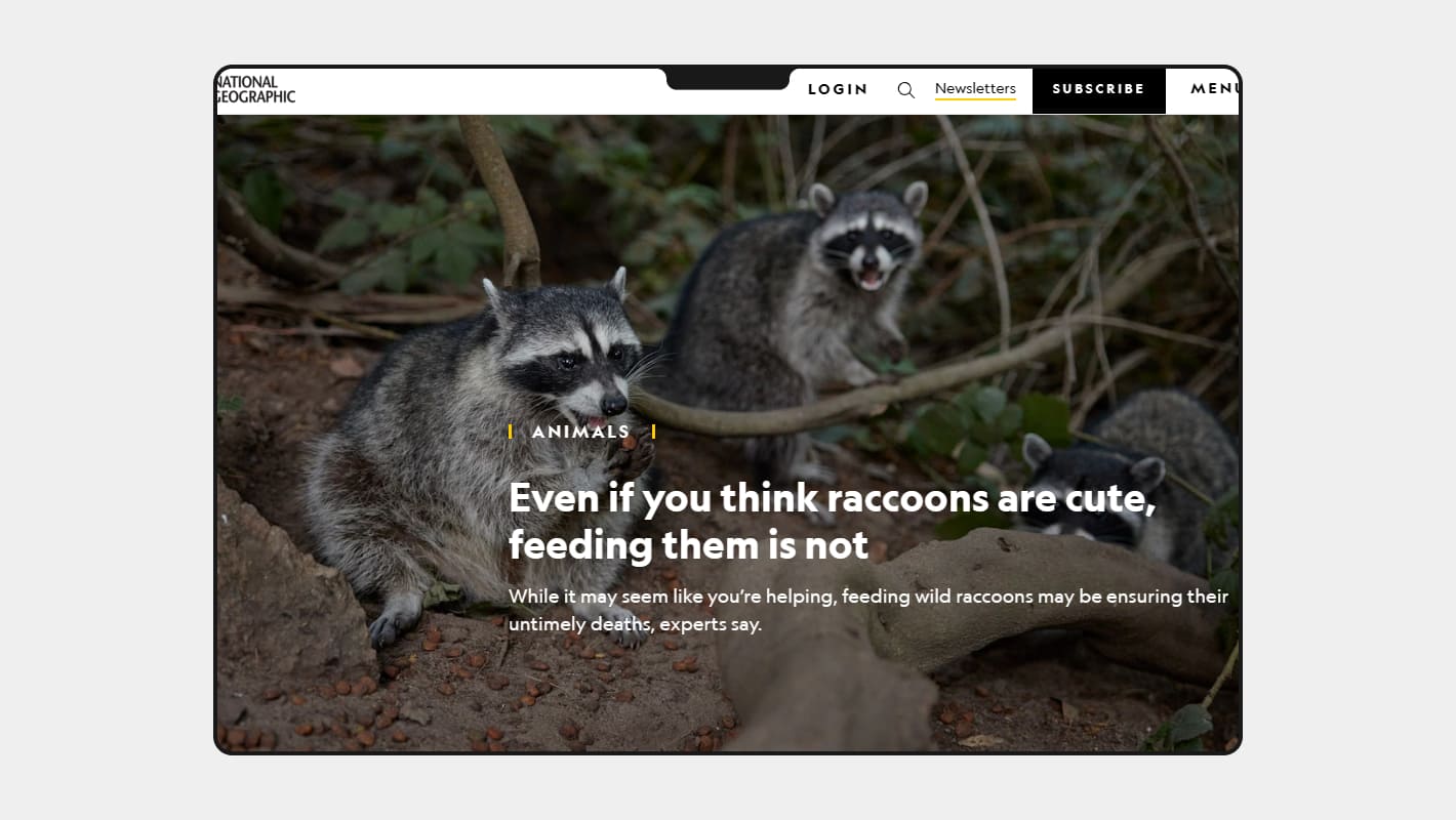Сайт National Geographic