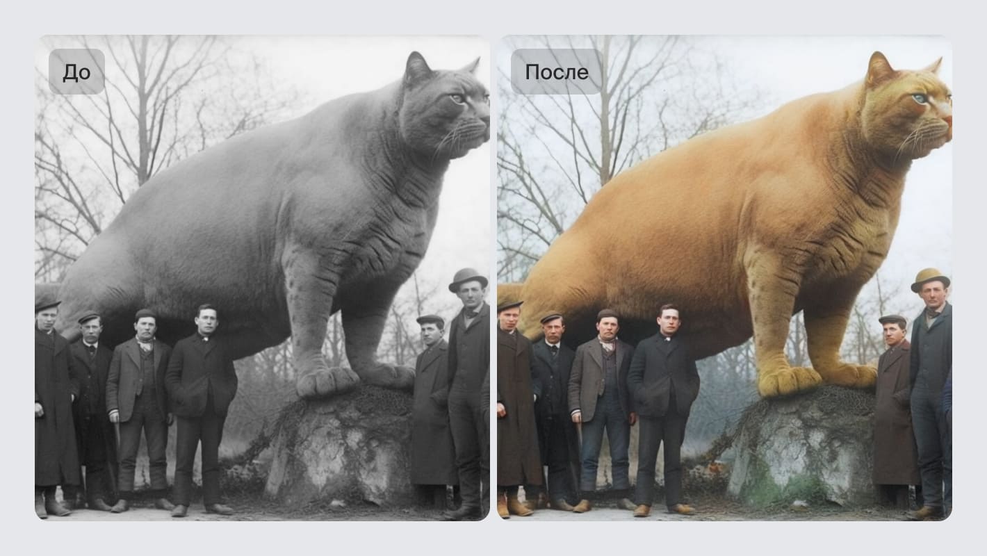 Превращение черно-белого фото в цветное в нейросети Neural Love