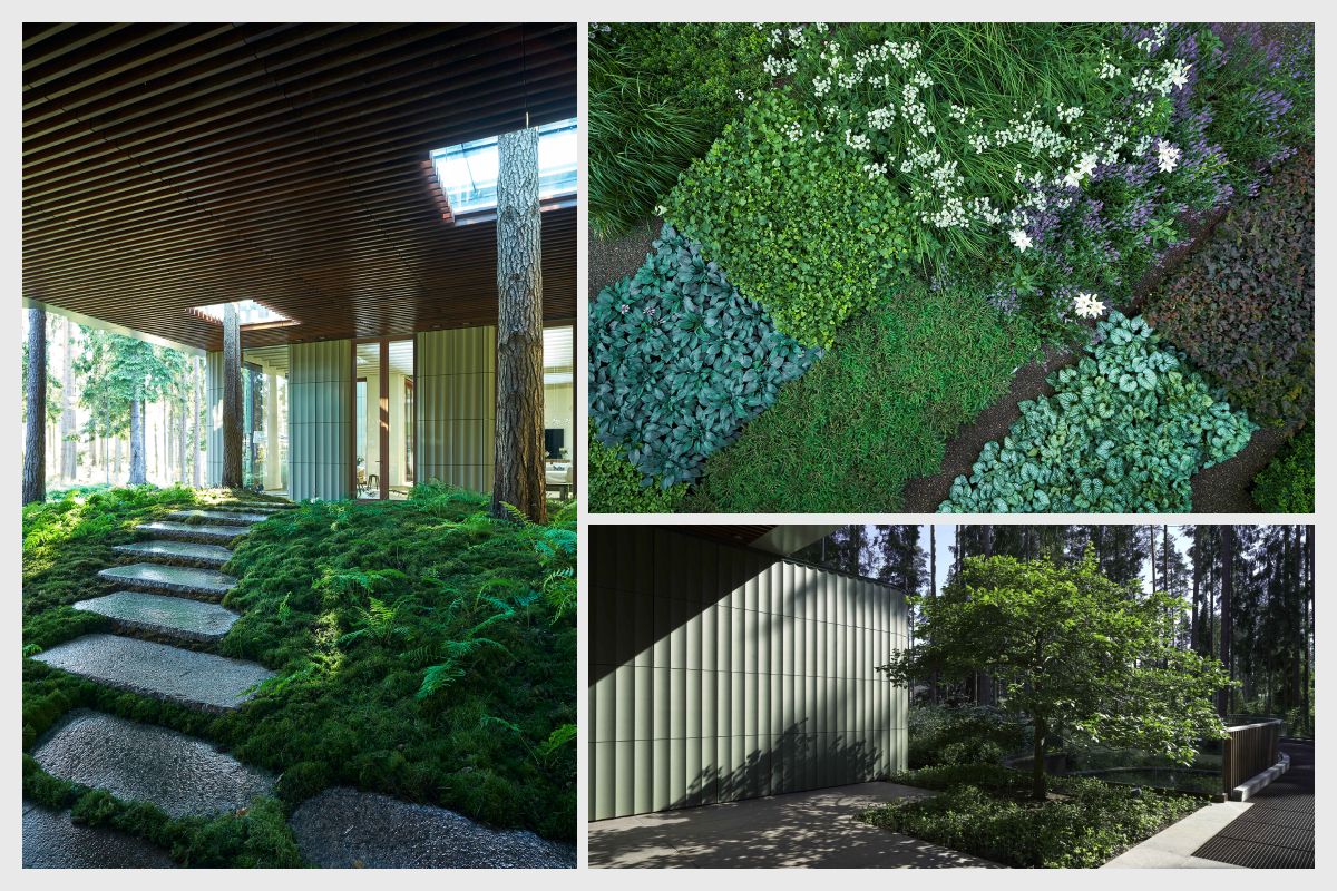 Пример работы ландшафтного дизайнера