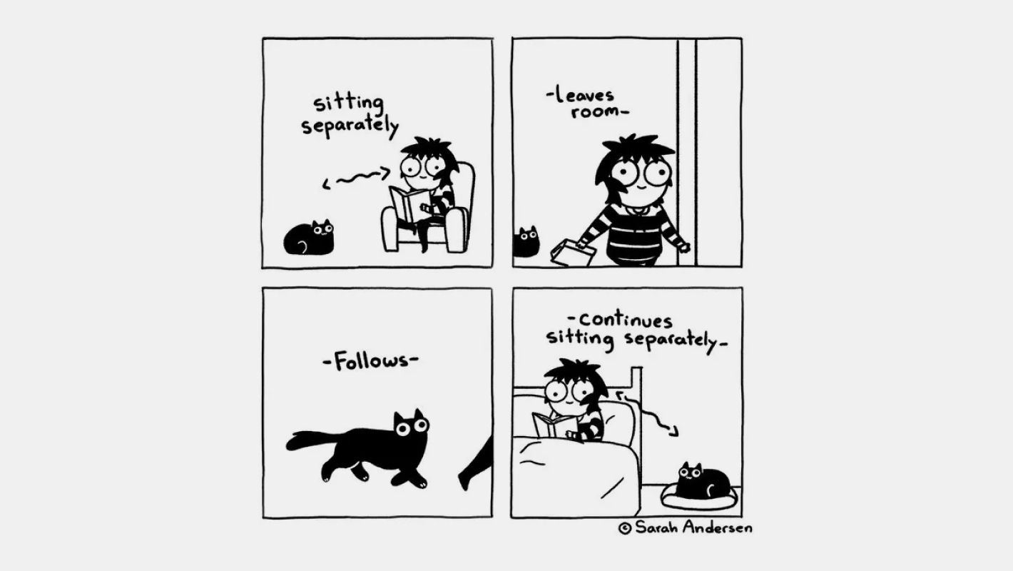 Веб-комикс Sarah Andersen
