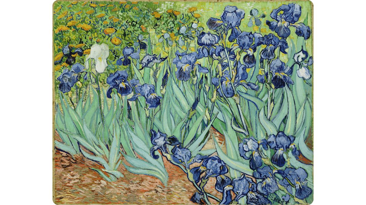 Пример контраста по цвету