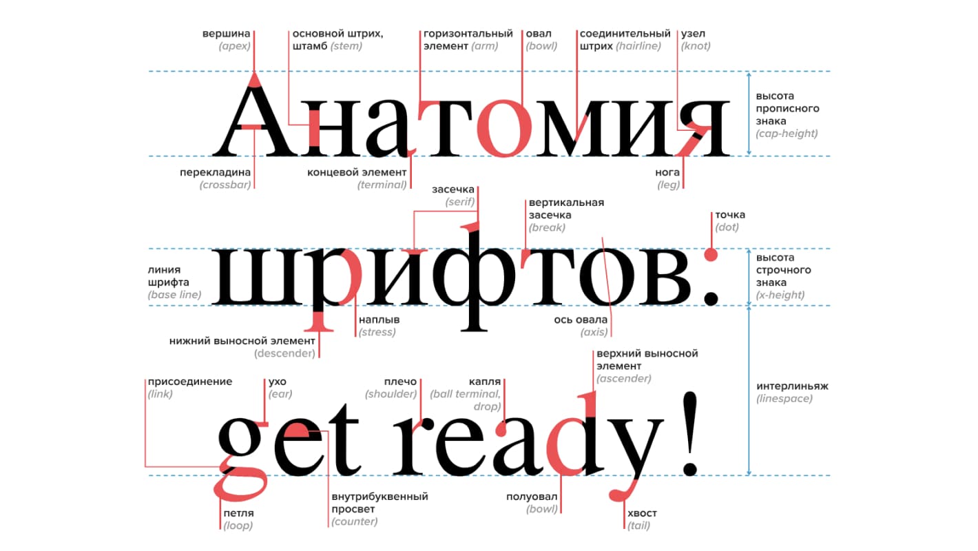 Анатомия шрифтов